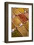 Stall, Waqif Souq, Doha, Qatar, Middle East-Frank Fell-Framed Photographic Print