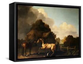 Stallion and Mare, traditionally called 'Jupiter and Mare'-George Stubbs-Framed Stretched Canvas