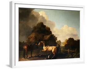 Stallion and Mare, traditionally called 'Jupiter and Mare'-George Stubbs-Framed Giclee Print