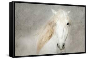 Stallion Face-Merrie Asimow-Framed Stretched Canvas