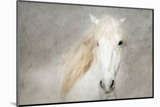 Stallion Face-Merrie Asimow-Mounted Photographic Print