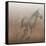 Stallion I on Leather-James Wiens-Framed Stretched Canvas