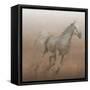 Stallion I on Leather-James Wiens-Framed Stretched Canvas