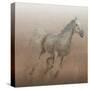 Stallion I on Leather-James Wiens-Stretched Canvas