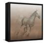 Stallion I on Leather-James Wiens-Framed Stretched Canvas