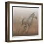 Stallion I on Leather-James Wiens-Framed Art Print