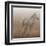 Stallion I on Leather-James Wiens-Framed Art Print