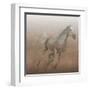 Stallion I on Leather-James Wiens-Framed Art Print