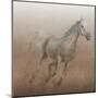 Stallion I on Leather-James Wiens-Mounted Art Print