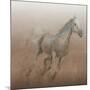 Stallion I on Leather-James Wiens-Mounted Art Print