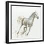 Stallion I-James Wiens-Framed Art Print