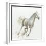 Stallion I-James Wiens-Framed Art Print