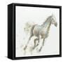 Stallion I-James Wiens-Framed Stretched Canvas