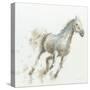 Stallion I-James Wiens-Stretched Canvas