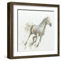 Stallion I-James Wiens-Framed Art Print