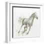Stallion I-James Wiens-Framed Art Print