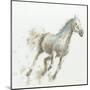 Stallion I-James Wiens-Mounted Art Print