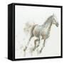 Stallion I-James Wiens-Framed Stretched Canvas