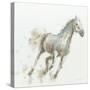 Stallion I-James Wiens-Stretched Canvas