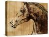 Stallion I-Anna Polanski-Stretched Canvas