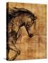 Stallion I-Anna Polanski-Stretched Canvas