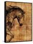 Stallion I-Anna Polanski-Framed Stretched Canvas