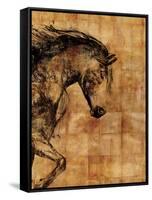 Stallion I-Anna Polanski-Framed Stretched Canvas