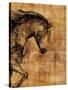 Stallion I-Anna Polanski-Stretched Canvas