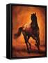 Stallion I-Ricardo Vargas-Framed Stretched Canvas