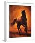 Stallion I-Ricardo Vargas-Framed Art Print