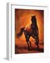 Stallion I-Ricardo Vargas-Framed Art Print