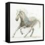 Stallion II-James Wiens-Framed Stretched Canvas