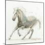 Stallion II-James Wiens-Mounted Art Print