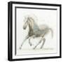 Stallion II-James Wiens-Framed Premium Giclee Print
