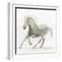 Stallion II-James Wiens-Framed Premium Giclee Print