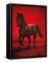 Stallion II-Ricardo Vargas-Framed Stretched Canvas