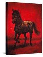 Stallion II-Ricardo Vargas-Stretched Canvas