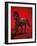 Stallion II-Ricardo Vargas-Framed Art Print