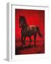 Stallion II-Ricardo Vargas-Framed Art Print