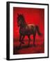 Stallion II-Ricardo Vargas-Framed Art Print