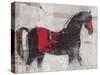 Stallion Strut 1-Julian Dimitrov-Stretched Canvas