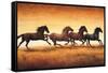 Stallions at Sunset-Ricardo Vargas-Framed Stretched Canvas