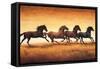 Stallions at Sunset-Ricardo Vargas-Framed Stretched Canvas