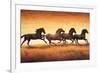 Stallions at Sunset-Ricardo Vargas-Framed Art Print