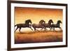 Stallions at Sunset-Ricardo Vargas-Framed Art Print