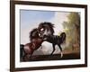 Stallions Fighting-George Stubbs-Framed Giclee Print