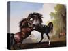 Stallions Fighting-George Stubbs-Stretched Canvas