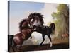 Stallions Fighting-George Stubbs-Stretched Canvas