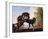 Stallions Fighting-George Stubbs-Framed Giclee Print