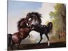 Stallions Fighting-George Stubbs-Stretched Canvas